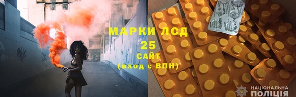 стафф Бородино