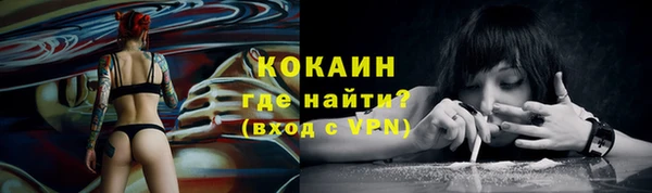 спиды Богородск