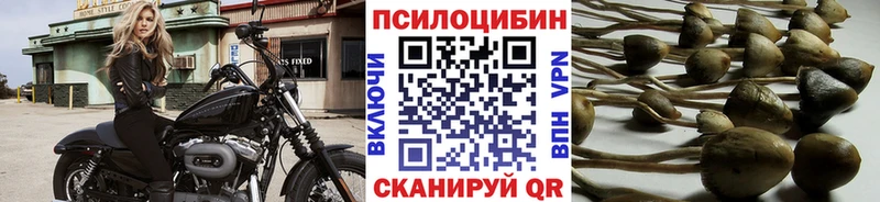 закладки Минусинск Галлюциногенные грибы мицелий